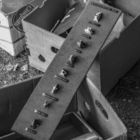 040 2025_07_22 rybičky