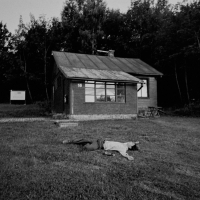 052 2025_07_23 Filmy