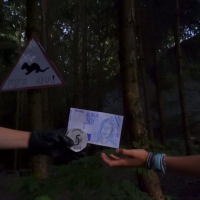 11 Kuna