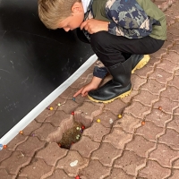 147 2025_07_28 den H kuličky