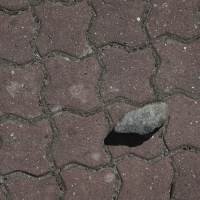 15 A fotosoutěž.jpg