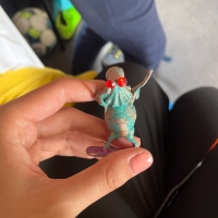 213 2025_07_31 rybičky žůžo