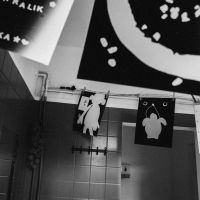 247 2025_08_01 fotogramy