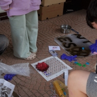 250 2025_08_01 fotogramy