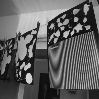 252 2025_08_01 fotogramy