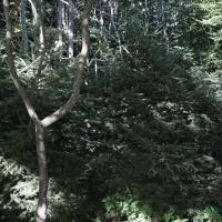 26 A fotosoutěž.jpg