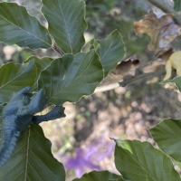 32 fotosoutěž