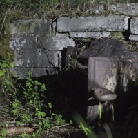 34 A fotosoutěž.jpg