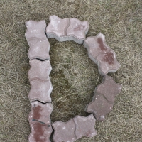 D2