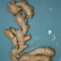 L11