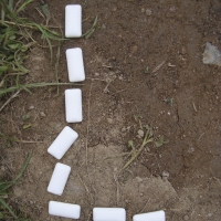 L6