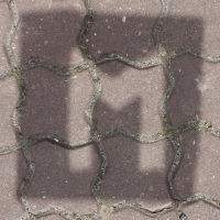 M1
