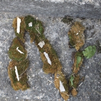 N2