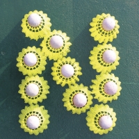 N6