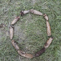 O3