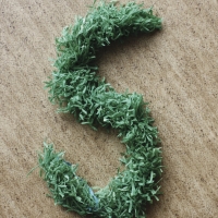 S1