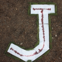 j4