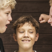 zlatá střední cesta