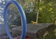 23 fotosoutěž